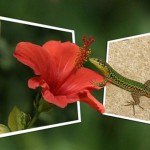 تصاویر چهار بعدی بسیار زیبا