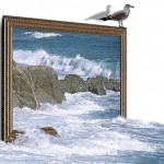 تصاویر چهار بعدی بسیار زیبا