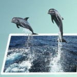 تصاویر چهار بعدی بسیار زیبا