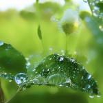 تصاویری بسیار زیبا از طبیعت