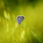 تصاویری بسیار زیبا از طبیعت