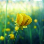 تصاویری بسیار زیبا از طبیعت