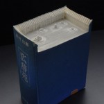 تصاویری بسیار زیبا از طراحی به وسیله کتاب