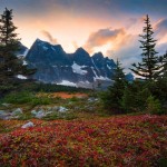 تصاویری بسیار زیبا از طبیعت شگفت انگیز