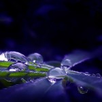 تصاویری بسیار زیبا از طبیعت