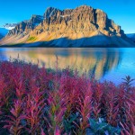 تصاویری بسیار زیبا از طبیعت شگفت انگیز