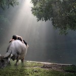 تصاویری بسیار زیبا از طبیعت شگفت انگیز