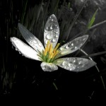 تصاویری بسیار زیبا از طبیعت