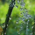 تصاویری بسیار زیبا از طبیعت