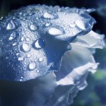 تصاویری بسیار زیبا از طبیعت