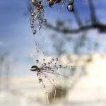 تصاویری بسیار زیبا از طبیعت