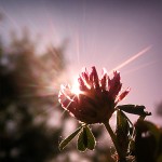 تصاویری بسیار زیبا از طبیعت