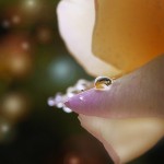 تصاویری بسیار زیبا از طبیعت