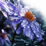 تصاویری بسیار زیبا از طبیعت