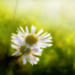 تصاویری بسیار زیبا از طبیعت