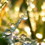 تصاویری بسیار زیبا از طبیعت