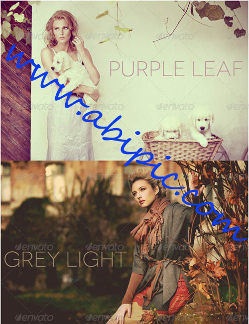 دانلود 5 اکشن پاییزی فوق العاده زیبا همراه فایل لایه باز PSD