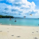 تصاویری زیبا از زیباترین سواحل دنیا