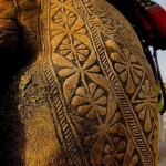 تصاویری بسیار زیبا از طراحی خلاقانه روی بدن شتر