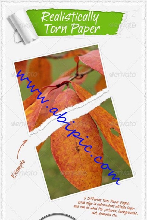 دانلود طرح لایه باز ساخت حالت پارگی و بریدگی کاغذ Realistically Torn Paper