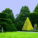 تصاویری از زیباترین باغ دنیا