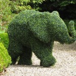 تصاویری از زیباترین باغ دنیا