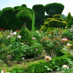 تصاویری از زیباترین باغ دنیا