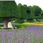 تصاویری از زیباترین باغ دنیا