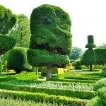 تصاویری از زیباترین باغ دنیا