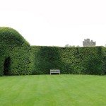 تصاویری از زیباترین باغ دنیا