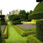 تصاویری از زیباترین باغ دنیا