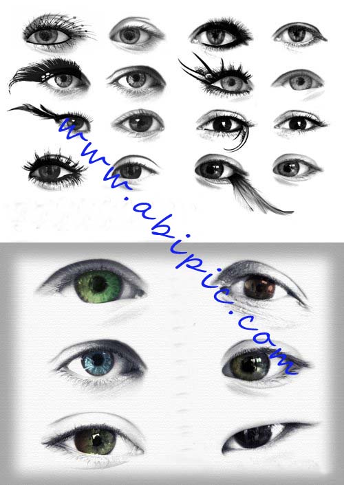 دانلود 2 براش فتوشاپ مژه و چشم Extreme Lashes Brushes