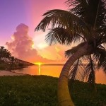 تصاویری بسیار زیبا از طبیعت