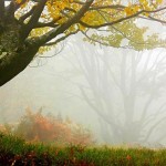 تصاویری بسیار زیبا از طبیعت