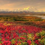 تصاویری بسیار زیبا از طبیعت