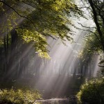 تصاویری بسیار زیبا از طبیعت