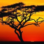 تصاویری بسیار زیبا از طبیعت