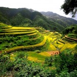 تصاویر بسیار زیبا از کشور چین