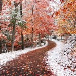 تصاویری بسیار زیبا از طبیعت