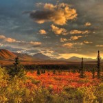 تصاویری بسیار زیبا از طبیعت