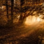 تصاویری بسیار زیبا از طبیعت