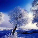 تصاویری بسیار زیبا از طبیعت