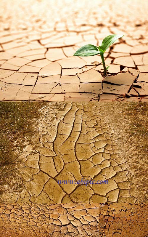 دانلود 5 تصویر شاتر استوک زمین خشک و ترک خورده Dry Land Stock Photo