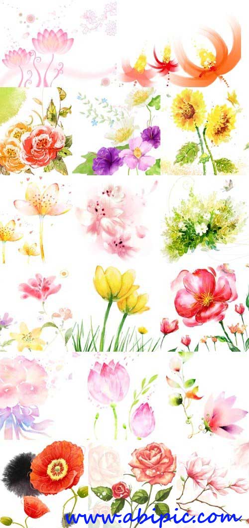 دانلود 22 طرح لایه باز زیبا از گل Flower Pack for Photoshop