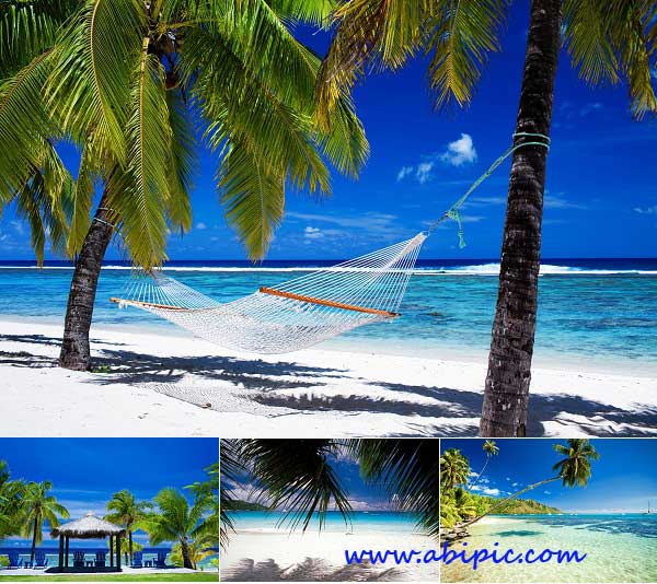 دانلود عکس های استوک از ساحل و جزایر گرمسیری و اقیانوسی Tropical Paradise