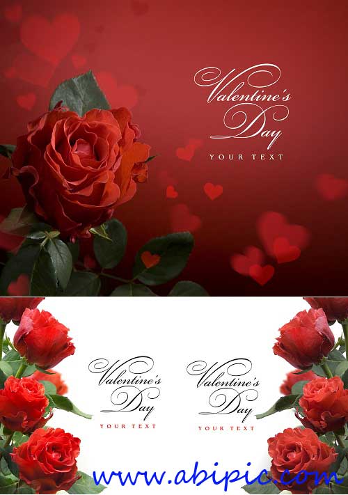 دانلود تصاویر شاتر استوک کارت تبریک گل رز Stock Photo greeting card red roses