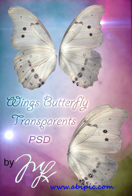 دانلود طرح لایه باز بال پروانه و فرشته PSD Template Wings Butterfly