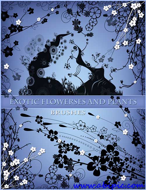 دانلود براش گل و بوته Photoshop Brushes - Exotic trees and flowers