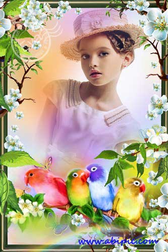 دانلود قاب عکس لایه باز با طرح طوطی Photo frame The Beautiful parrots