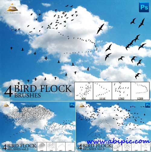 دانلود پک کامل براش پرنده فتوشاپ Bird Flock Brushes